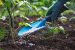 Methods of Fertilizers Application: How to Choose the Right One for Your Garden